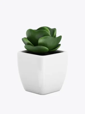 product-image-9_optimized Sollicitudin Aliquam